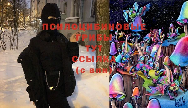 ешки Алексеевка