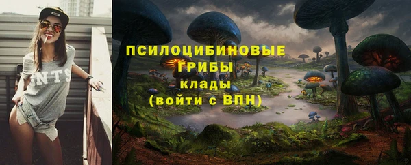 ешки Алексеевка