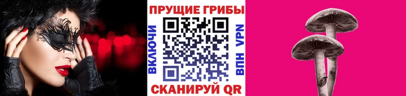 Псилоцибиновые грибы мухоморы  купить  сайты  Суджа 